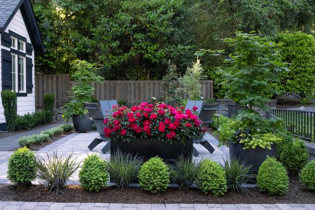 Frisco Landscape Design