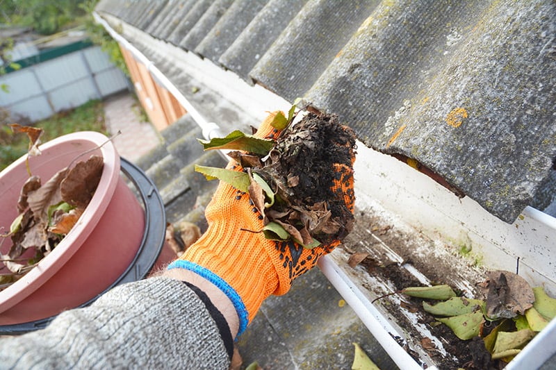 Gutter Cleaning Service In Victoria